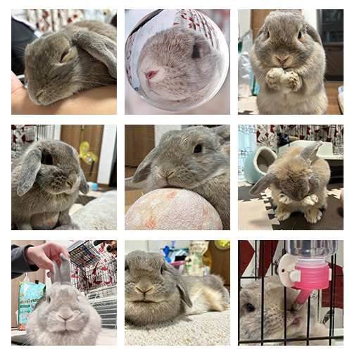 オリジナルマグネット